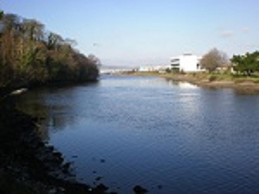 River Lodge Accomodation Wicklow Extérieur photo